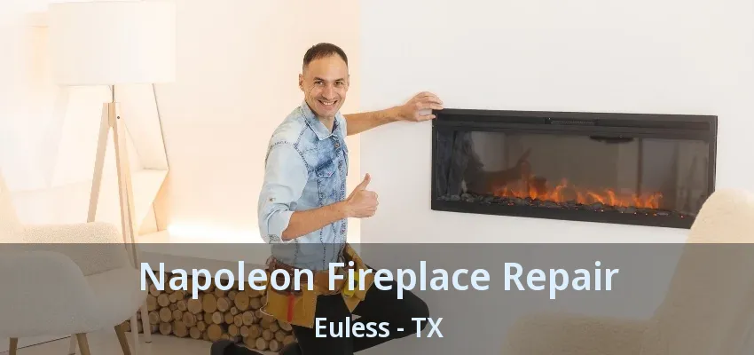 Napoleon Fireplace Repair Euless - TX