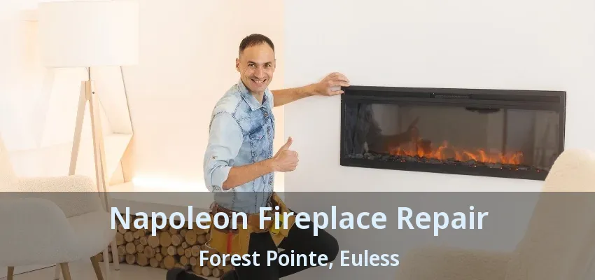 Napoleon Fireplace Repair Forest Pointe, Euless - TX