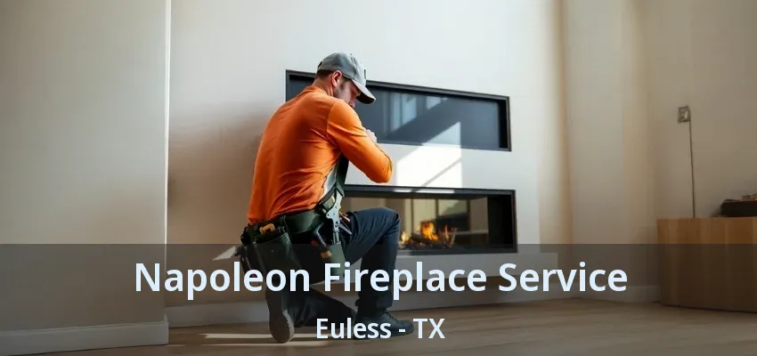 Napoleon Fireplace Service Euless - TX