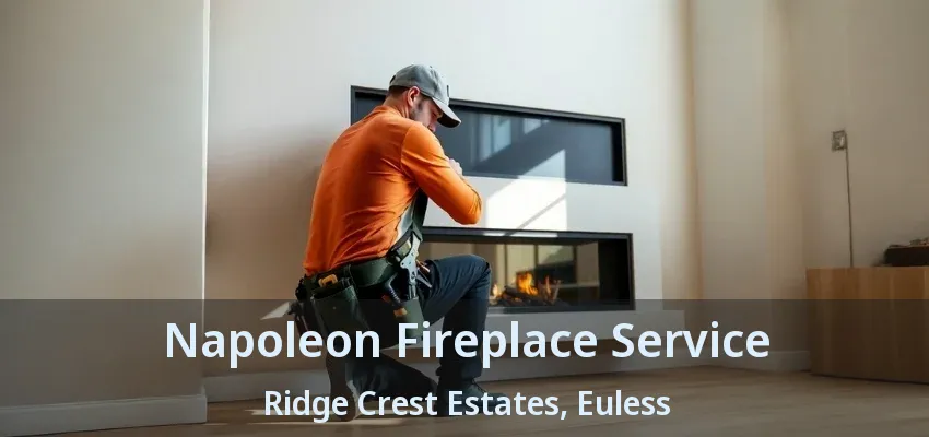 Napoleon Fireplace Service Ridge Crest Estates, Euless - TX
