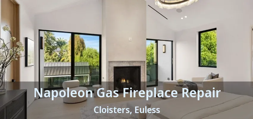 Napoleon Gas Fireplace Repair Cloisters, Euless - TX