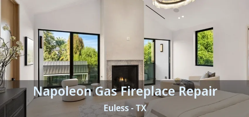 Napoleon Gas Fireplace Repair Euless - TX