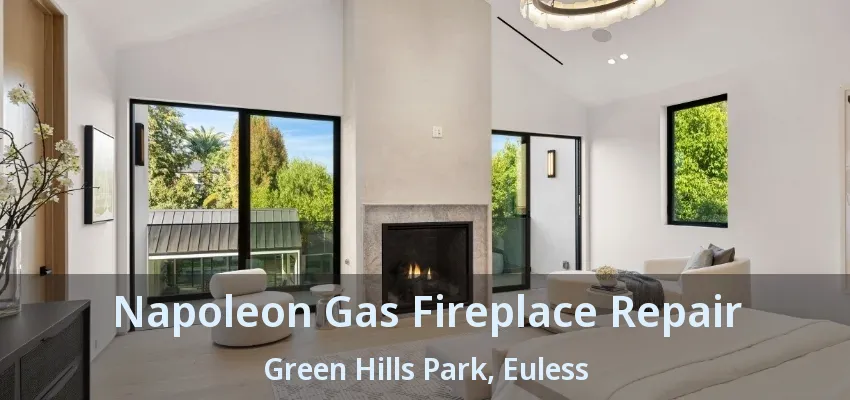 Napoleon Gas Fireplace Repair Green Hills Park, Euless - TX