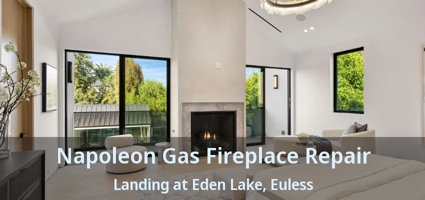 Napoleon Gas Fireplace Repair Landing at Eden Lake, Euless - TX