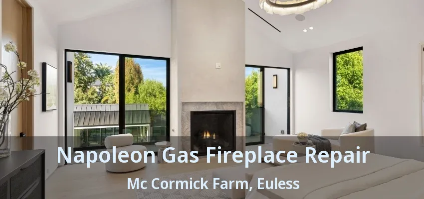 Napoleon Gas Fireplace Repair Mc Cormick Farm, Euless - TX