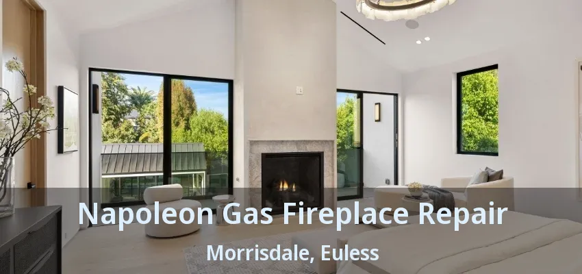 Napoleon Gas Fireplace Repair Morrisdale, Euless - TX