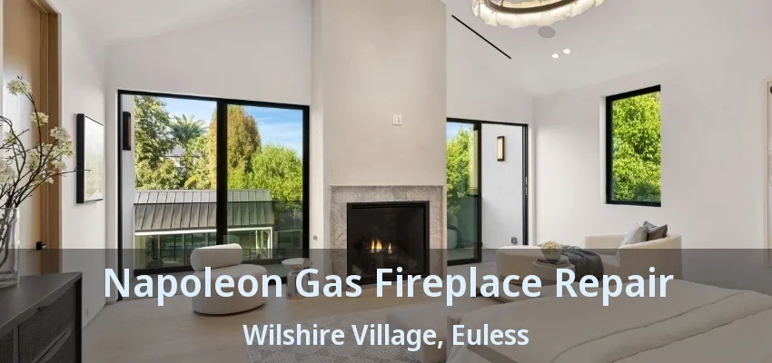 Napoleon Gas Fireplace Repair Wilshire Village, Euless - TX