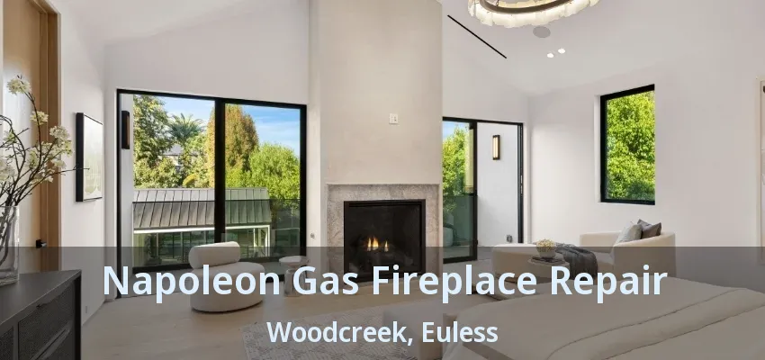 Napoleon Gas Fireplace Repair Woodcreek, Euless - TX