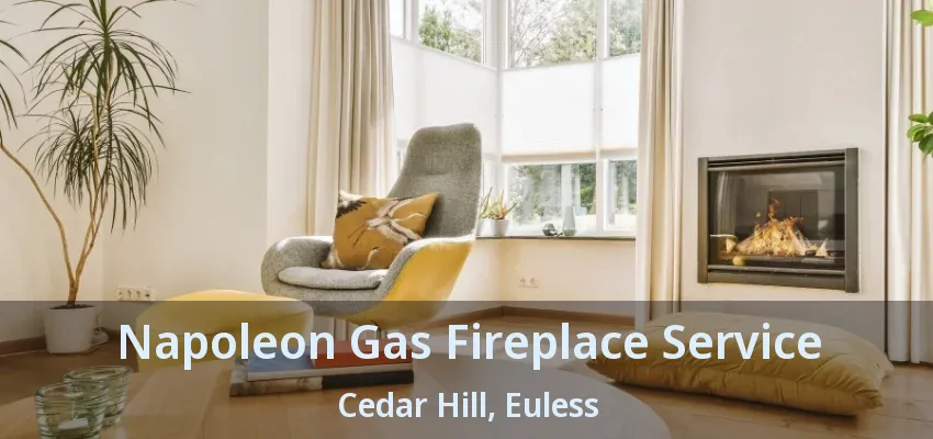 Napoleon Gas Fireplace Service Cedar Hill, Euless - TX