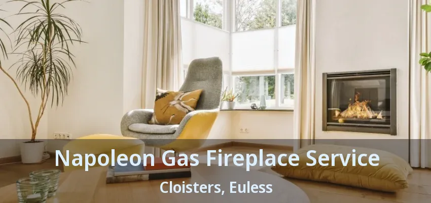 Napoleon Gas Fireplace Service Cloisters, Euless - TX