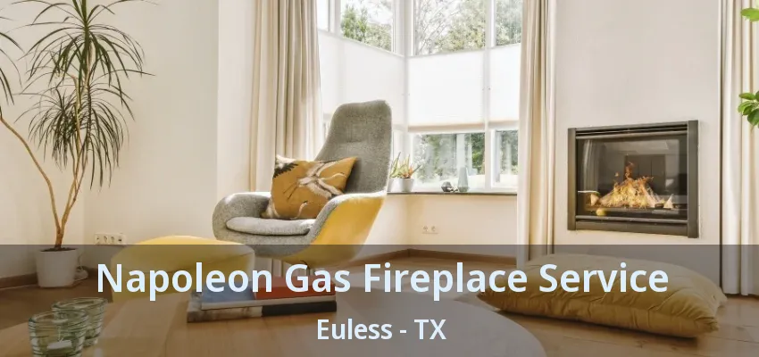 Napoleon Gas Fireplace Service Euless - TX