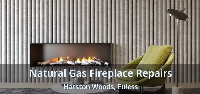 Natural Gas Fireplace Repairs Harston Woods, Euless - TX