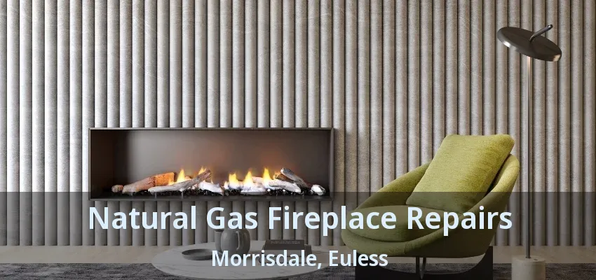 Natural Gas Fireplace Repairs Morrisdale, Euless - TX