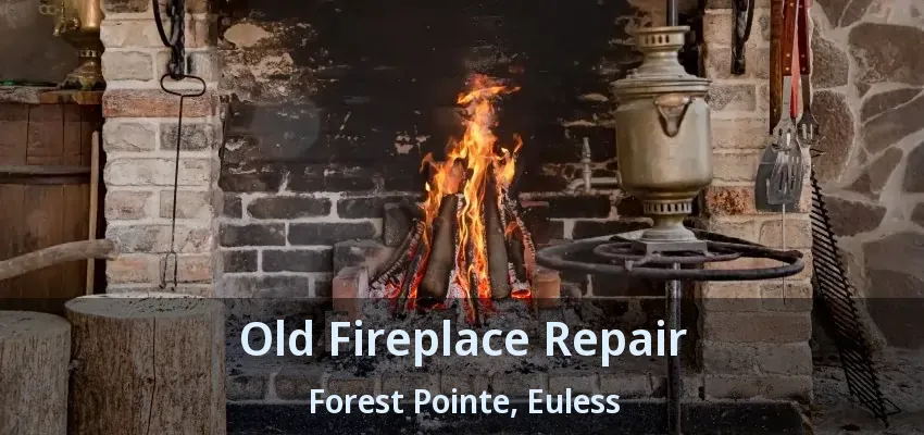 Old Fireplace Repair Forest Pointe, Euless - TX