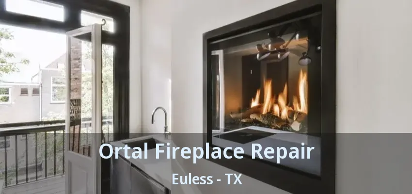 Ortal Fireplace Repair Euless - TX