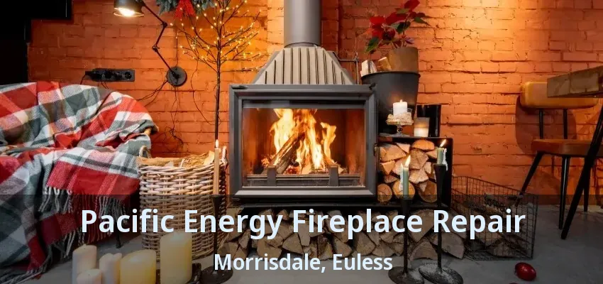 Pacific Energy Fireplace Repair Morrisdale, Euless - TX