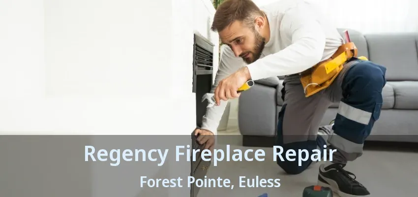 Regency Fireplace Repair Forest Pointe, Euless - TX