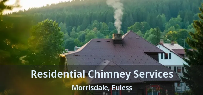 Residential Chimney Services Morrisdale, Euless - TX