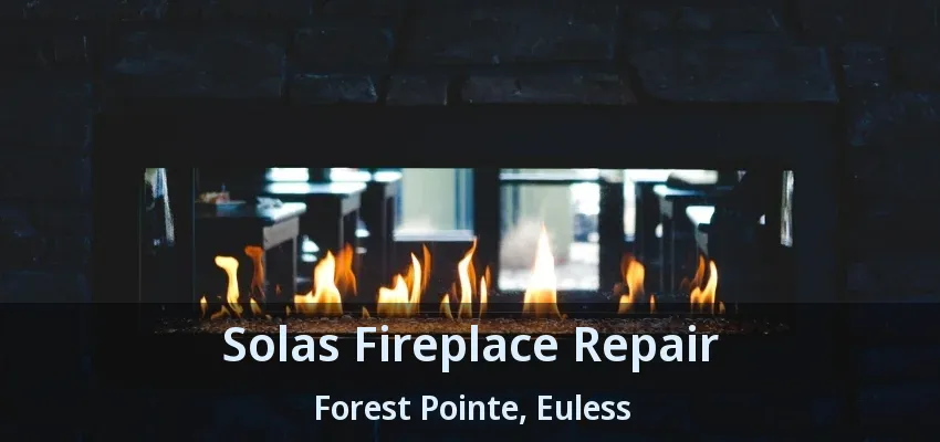 Solas Fireplace Repair Forest Pointe, Euless - TX