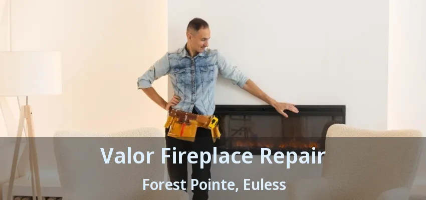 Valor Fireplace Repair Forest Pointe, Euless - TX