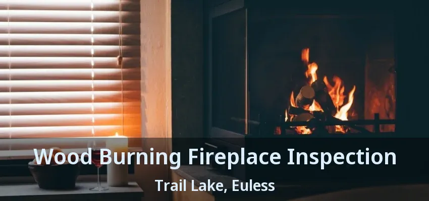 Wood Burning Fireplace Inspection Trail Lake, Euless - TX