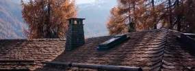 Chimney Animal Removal Euless
