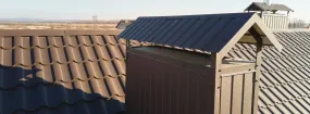 Chimney Cap Services Euless