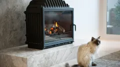 Wood Burning Fireplace Repair Euless